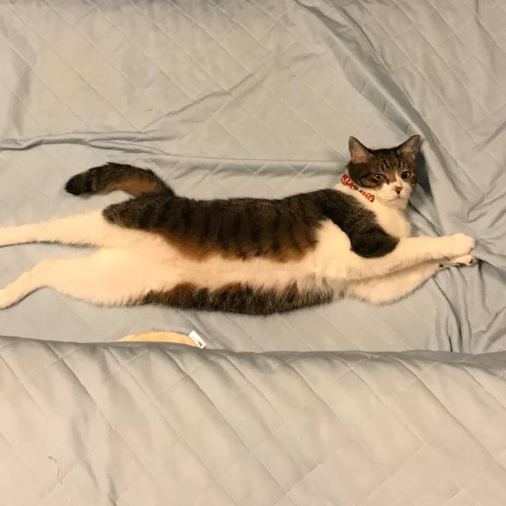 5399448e 7083 4a0a 80da e48365e23fd8