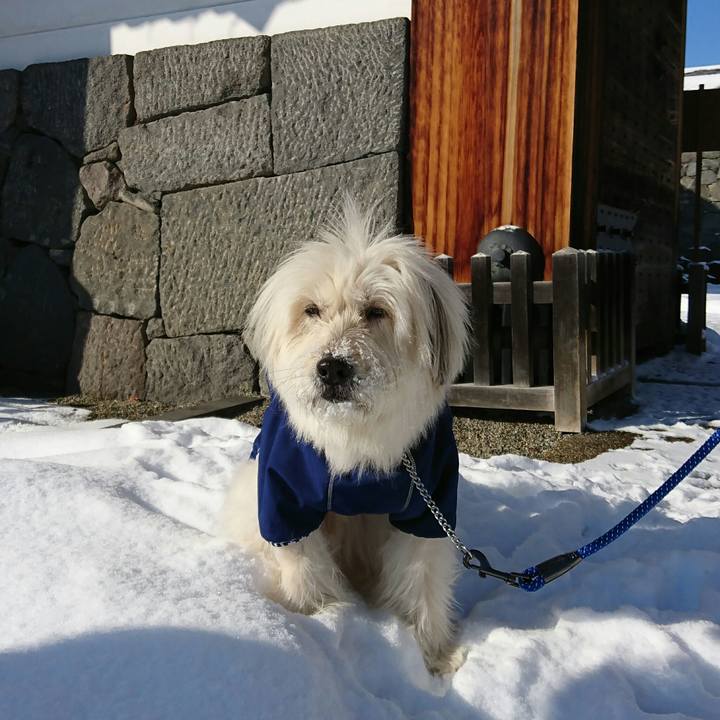 539a21e4 5e25 4fb9 a2b2 260c4f7ac38f