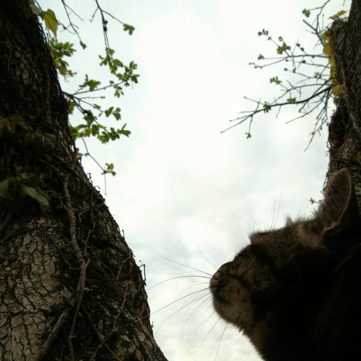 539b04fb 42d8 4f9d a055 cf5600c42fd4