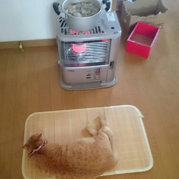 539bb456 f1cf 4082 af6c 1d6e2dd51be1