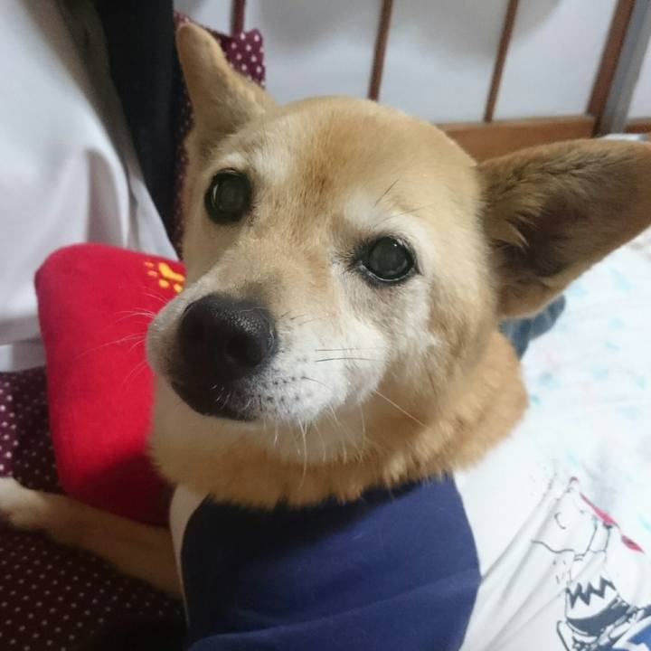 539bd3a7 3147 45c9 8c99 8bd57e7cccdb