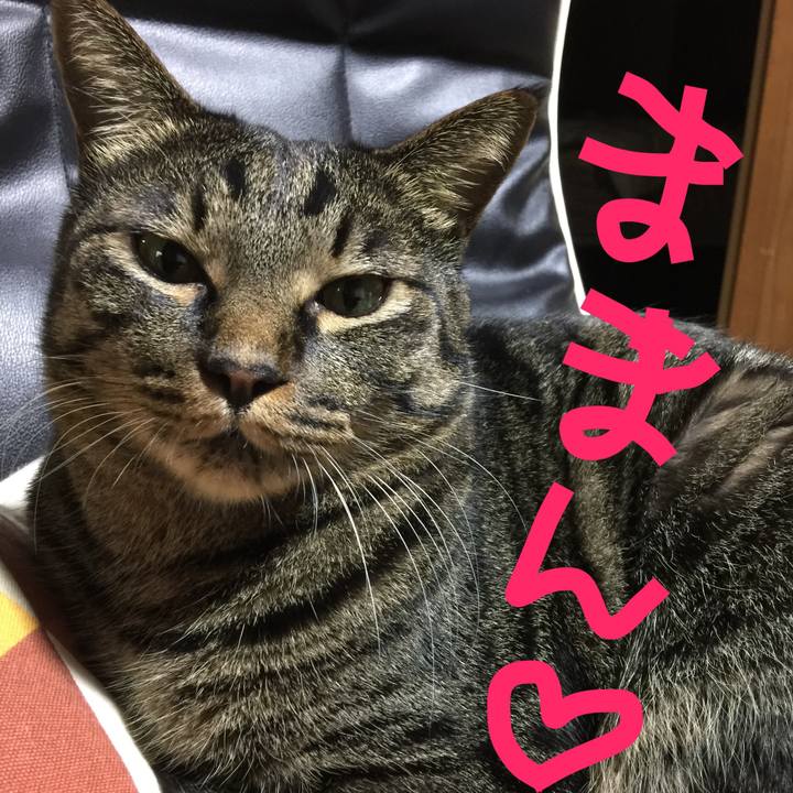 539c197e 3fe5 4baa a048 8cc3c28f077b