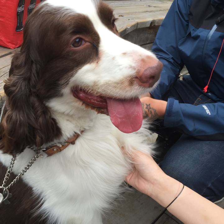 539c34cc e38a 4ae9 a908 1b7d75d99f8a