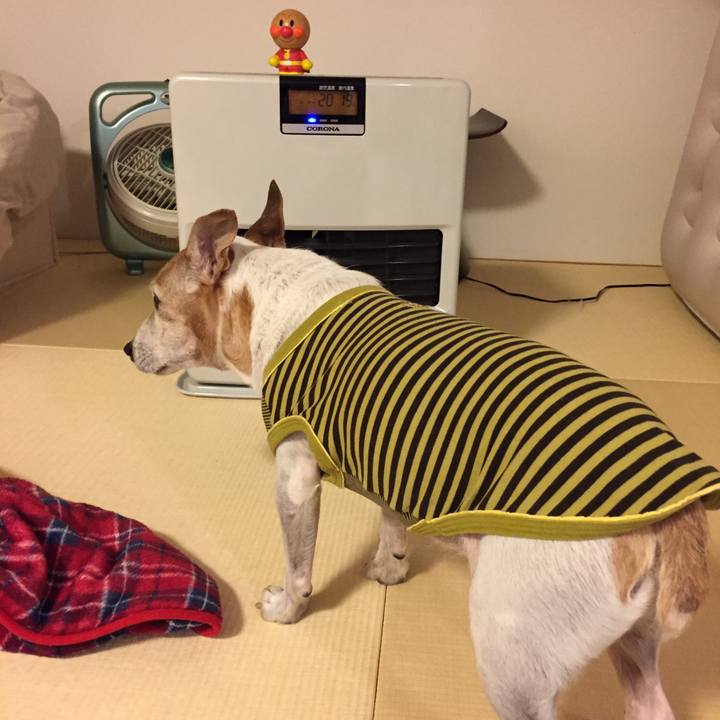 539c7b79 1ed0 41bc af07 775df23d7b84