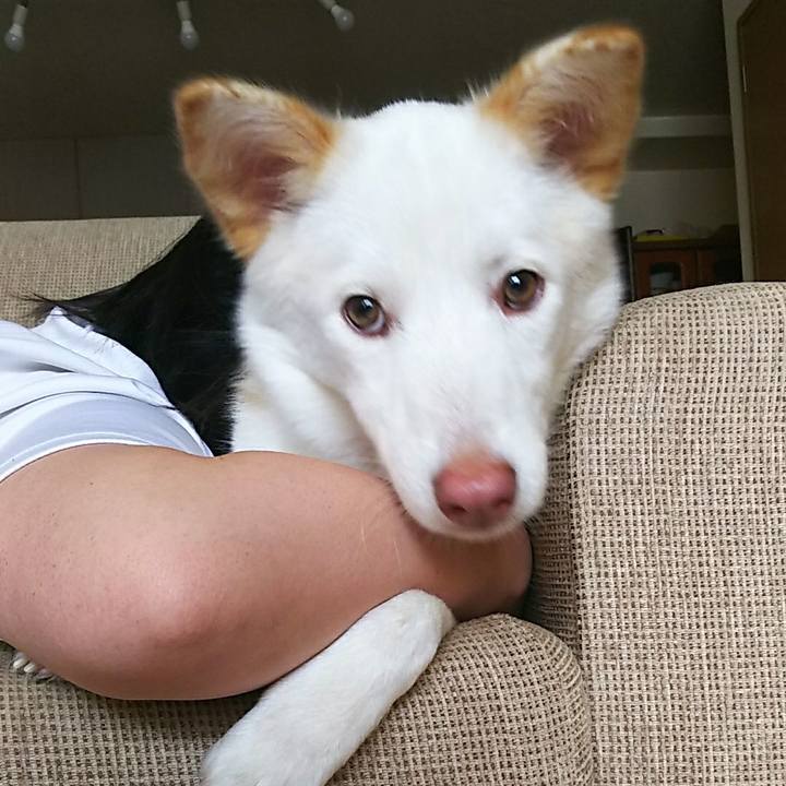 539cde50 fd83 4362 9769 102890743774