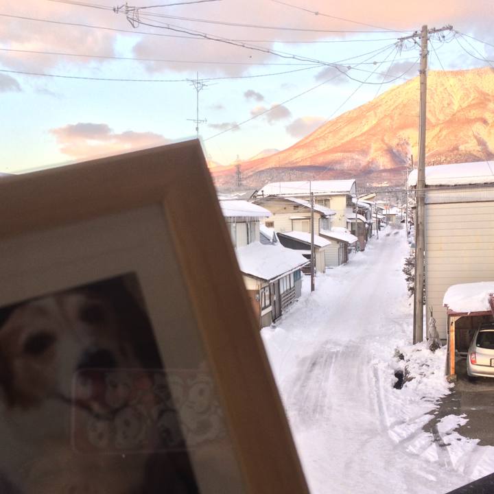 539d149b 4b5c 4563 9d3f 08c55364f565