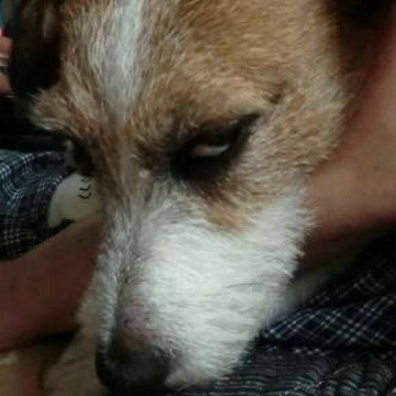 539dfa17 46c0 4410 876e 75b01bd1e77c