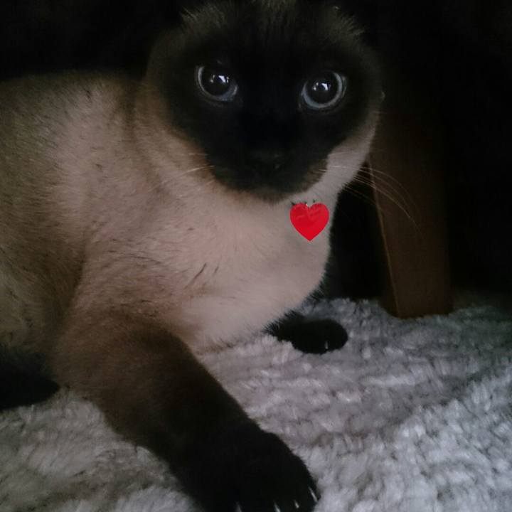 539e0adb 4a9b 4d91 96bd 2428006b52ce