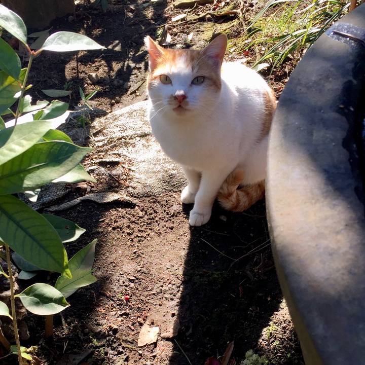 539e487a 23e3 49f5 aa74 75e831e74a8d