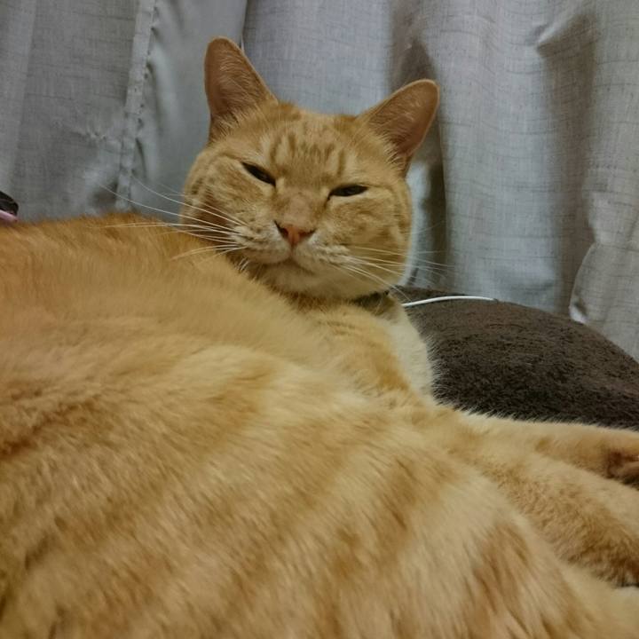 539e8a6e 4283 4fb7 91c8 9b6c5113ce80