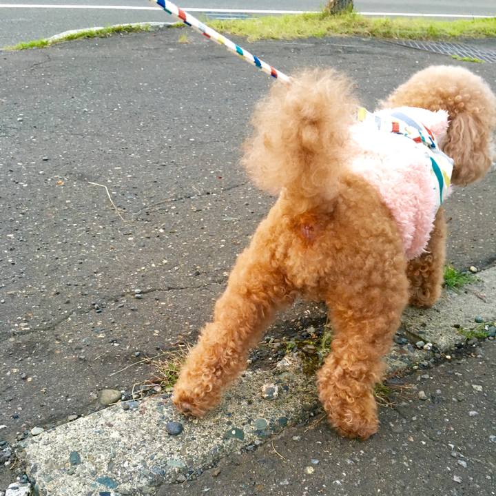 539ee83d a471 4b23 8b8e 05b5624c0ea7