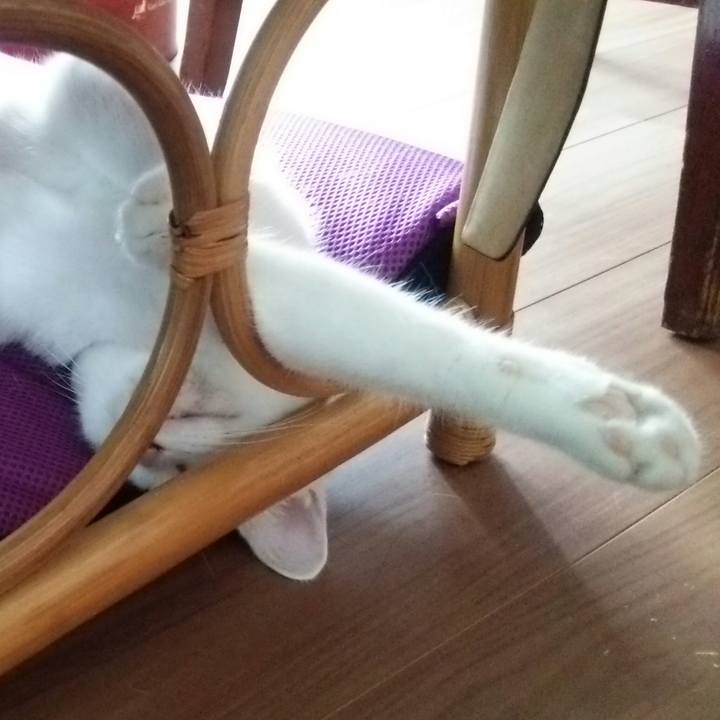 539f07ae c22d 4639 9b03 b86fd3703eca