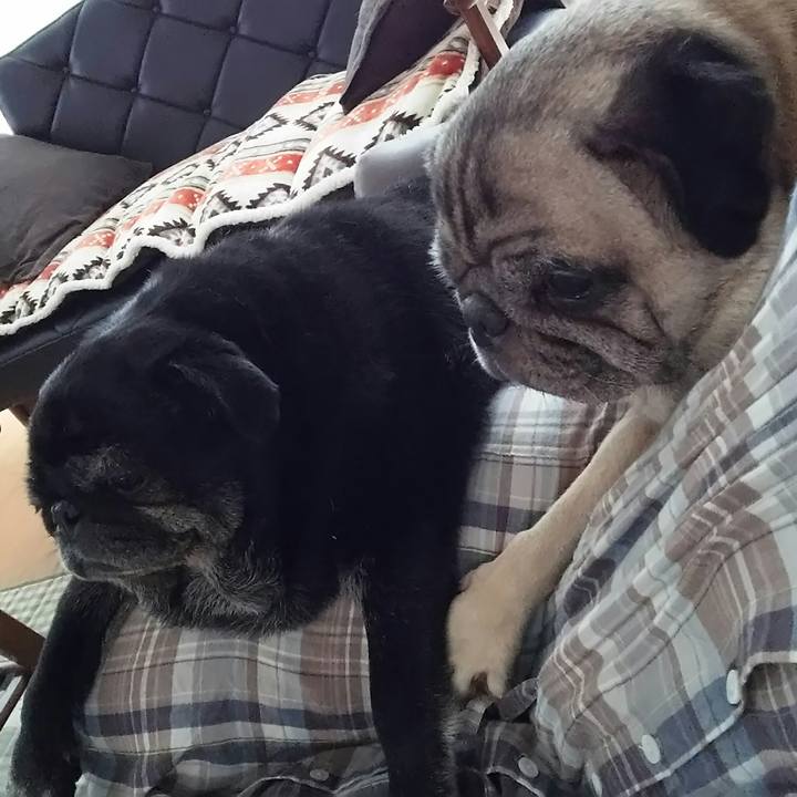 53a01f56 916e 46a0 a085 4d616726fb92