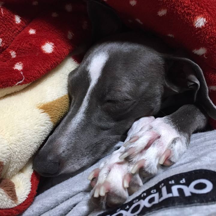 53a048b5 b288 44c4 8564 8ecc9788baea