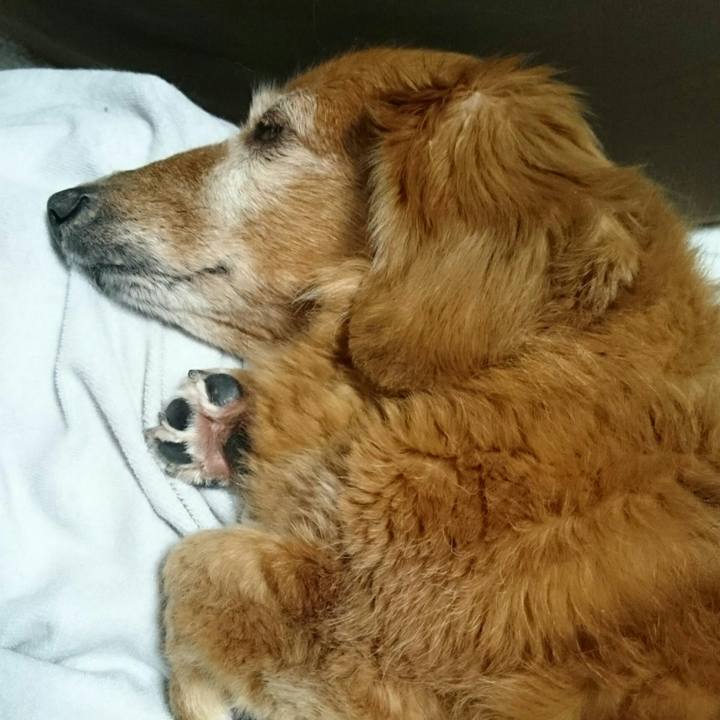 53a064d5 cba4 4fda a545 da0d2d271c3b