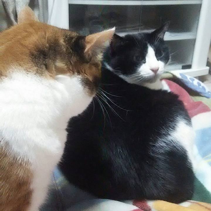 53a0c8d4 52ad 4af3 810d 4008f8ac1d2f