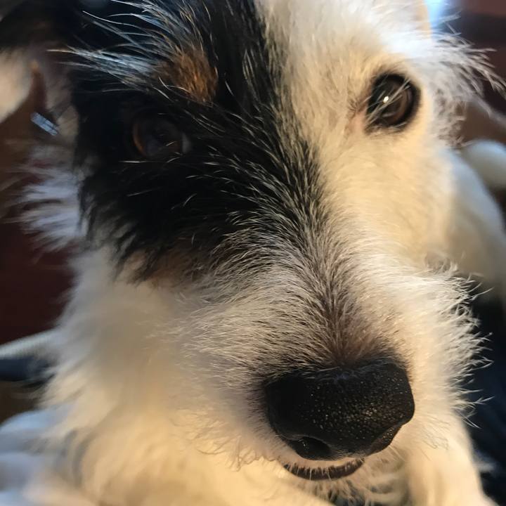 53a0f95a 54ac 43ae ad24 28fe1326d899