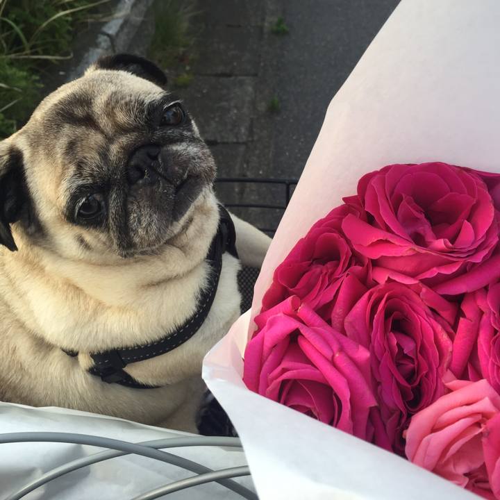 53a1137e 2760 40eb af68 8ac3a4ea6d84