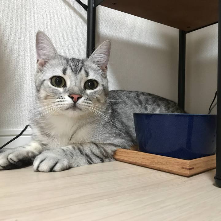 53a19318 e57f 4db2 8bb6 8afa35f9f0ed