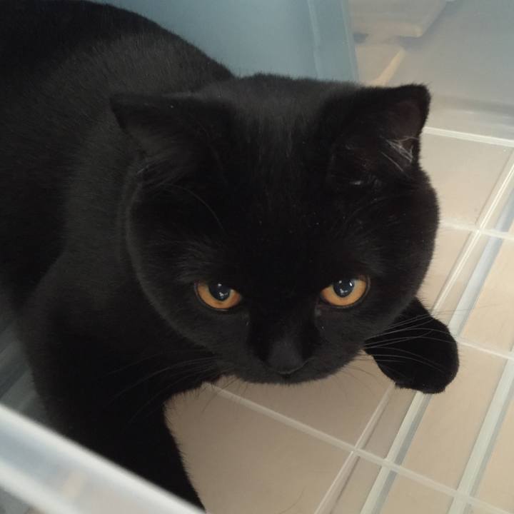 53a1ea4f 8816 4e9e b940 e8de39de140b