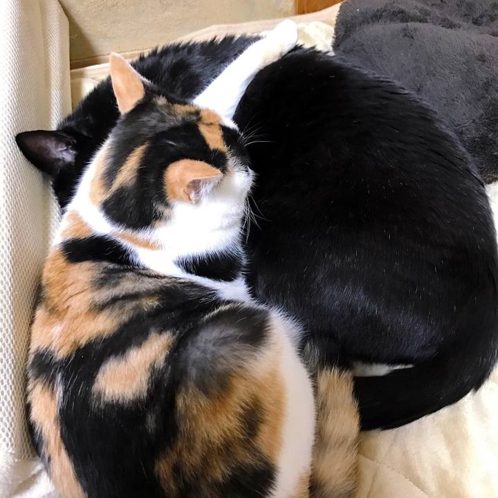 53a2d7e5 3fd5 4900 934f b30158e3e647