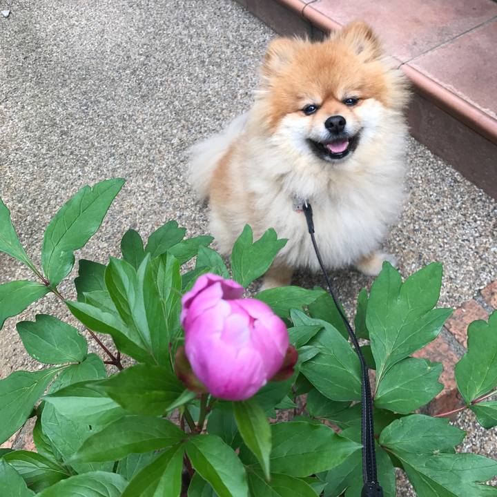 53a4b37d f7b6 4137 bbc9 a702371eafb7