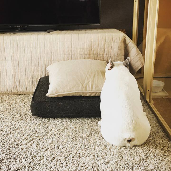 53a5248b 3850 4f96 80ad 084db432483f