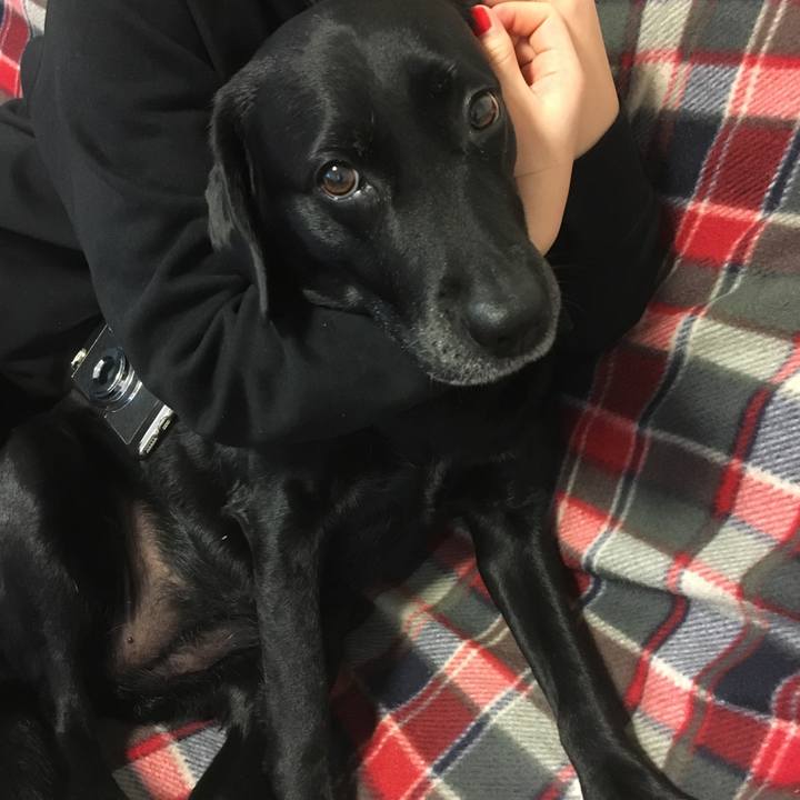 53a5d9eb c40e 4b40 8a05 b9e6d7124914