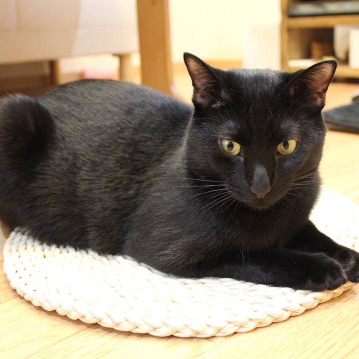 53a6336c c75c 45f9 9567 95b24ec8556d