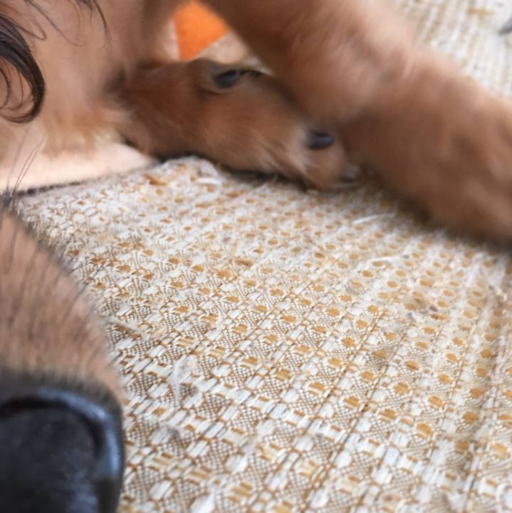 53a67d1e 1802 406e a85a 4121db87ddbf