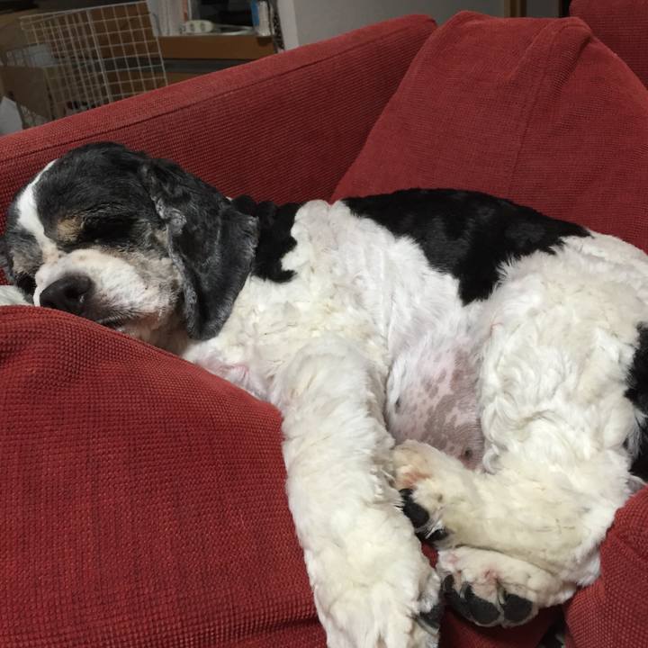 53a68b7d 18b4 4718 9f7b 109e7fcfa947