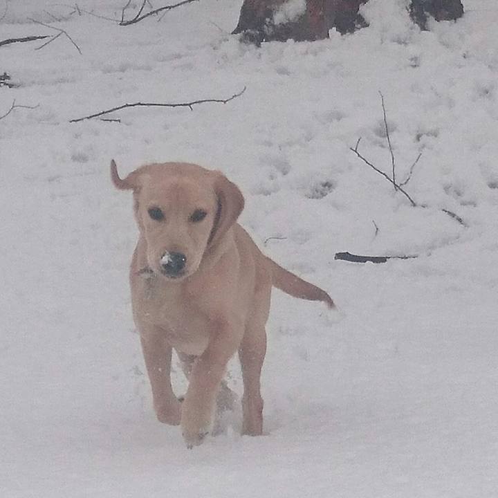 53a7251f ea0f 44cb b785 7abe66292a70