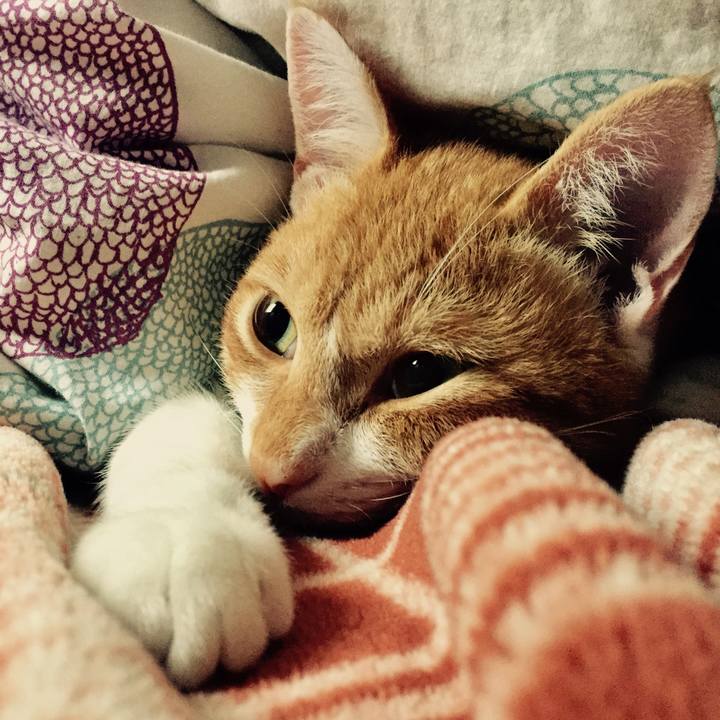 53a7327d 4fdb 489a 98b2 84d466503646