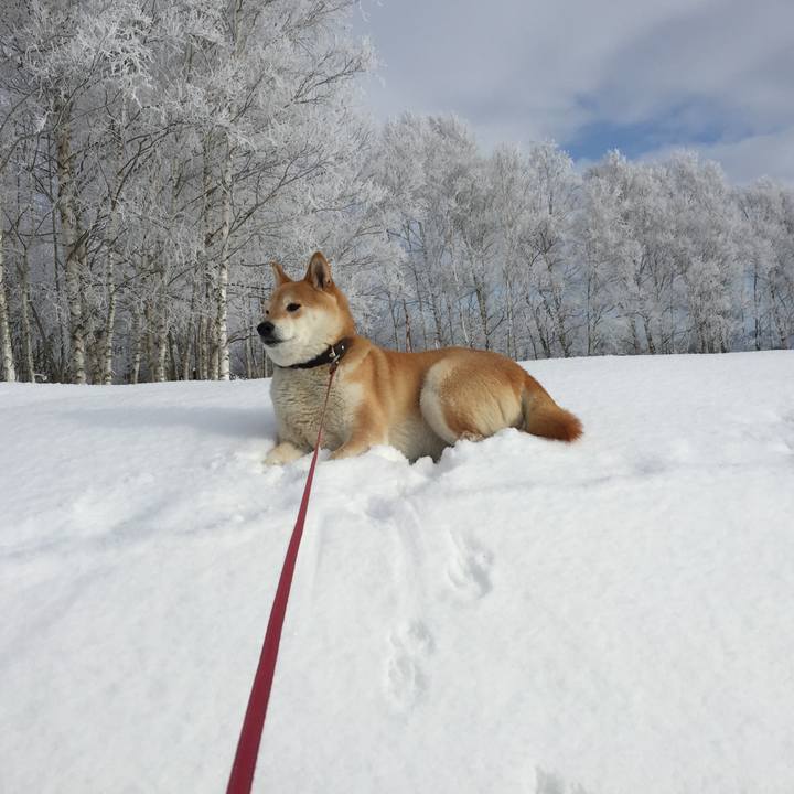 53a78590 ef9d 4c1c a0ba e9b8f47b6eaf