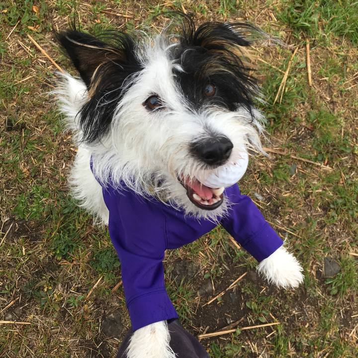 53a91e1a 5941 414b 9b50 3104da08d78f