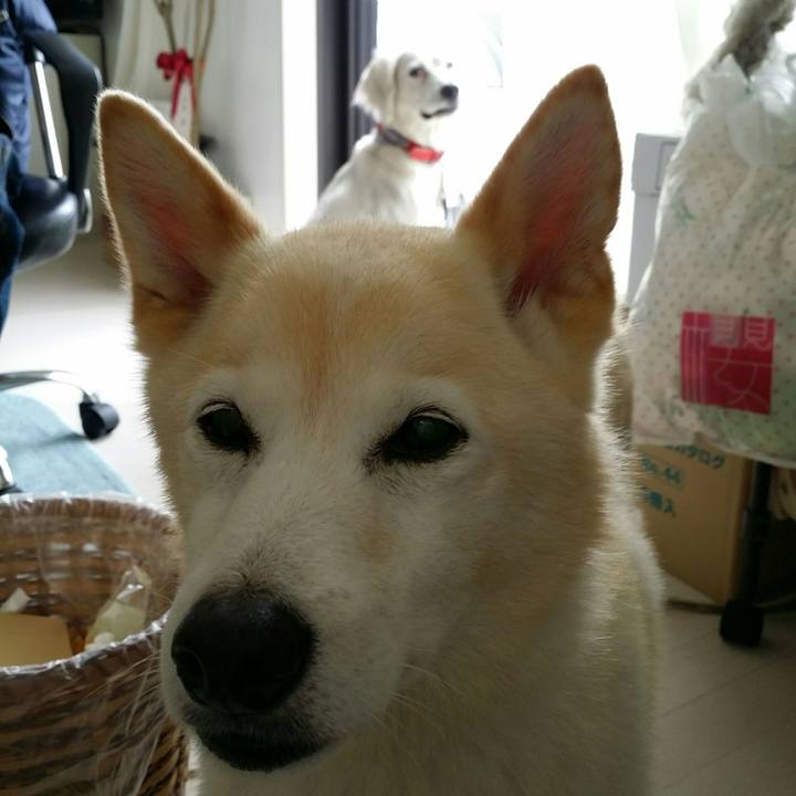 53a94bb5 1661 4610 80f7 00184a7f115b