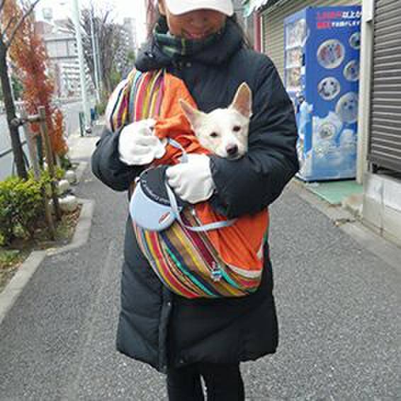 53a97962 4f14 449a a5f9 591f5c5d437f