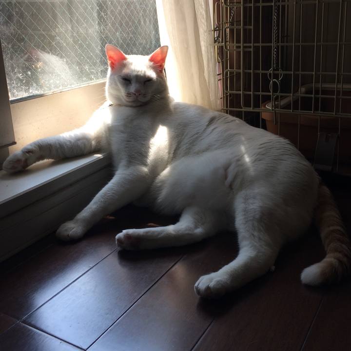 53a98d6d ebde 4e59 906c d3d63f9e199f