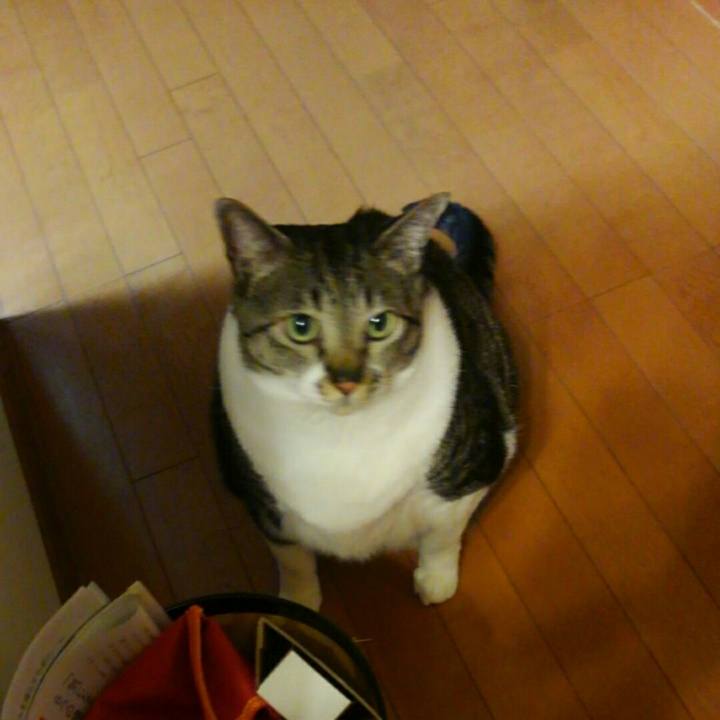 53a9d89a 3fb4 4a6d b3b4 152217e084b4