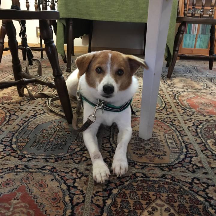 53a9dad1 b5b1 403c 9c22 23526d97bbed