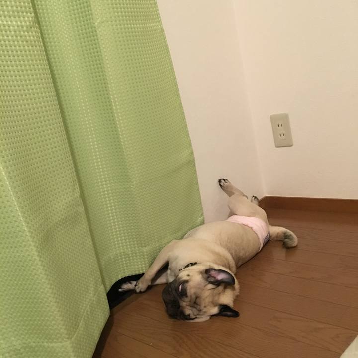 53a9f9b2 5d52 47d7 b9e1 464d74d4f580