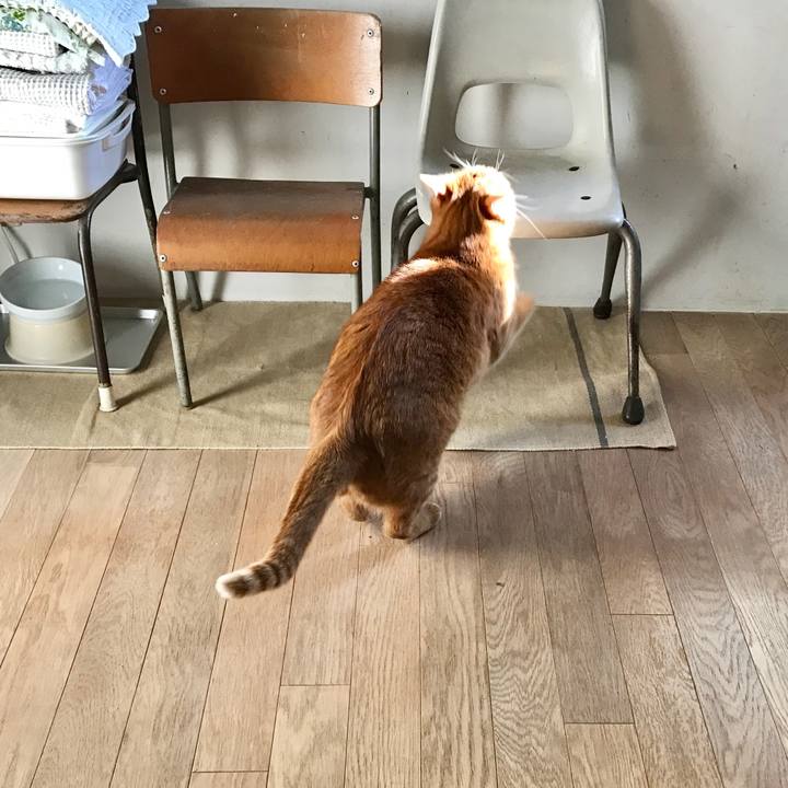 53aa0d5c 9dca 401e 937d 249999e881a6