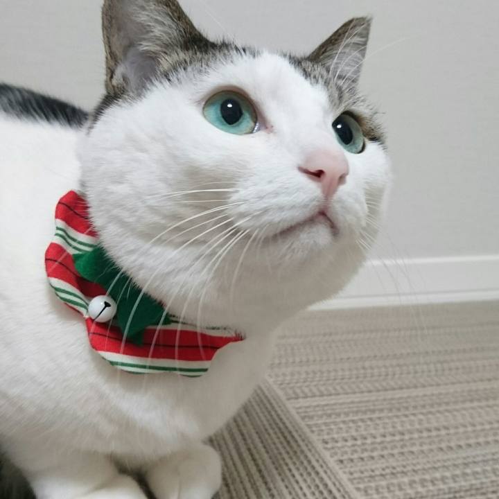 53aa8c08 29e7 4fc8 b75b 9454a4e4e92e