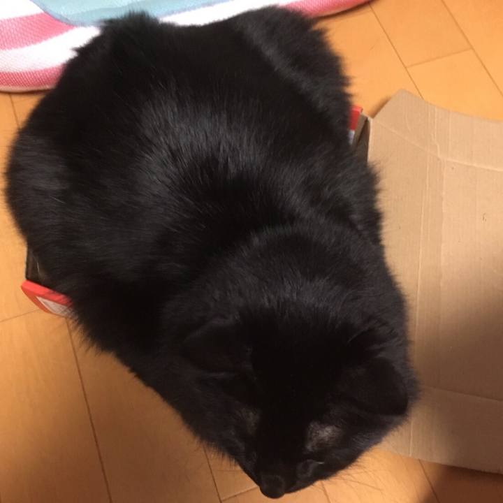 53aaf82f a281 4710 91a9 b7c1c1b1bd5b