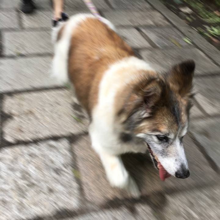 53aba734 603e 4e5c a53b dfe06a1c1c66