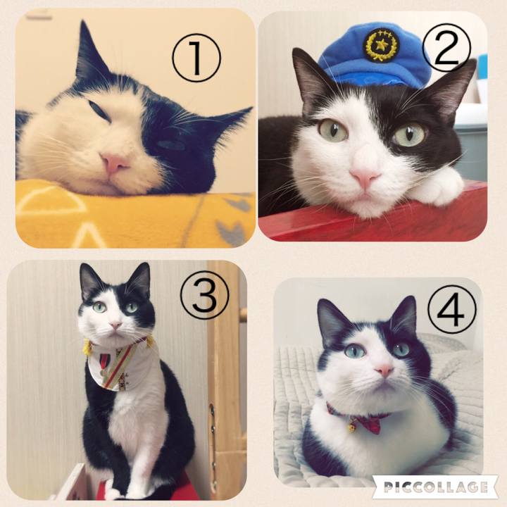 53ac15a8 ebbb 469e 91e0 5f0698734747