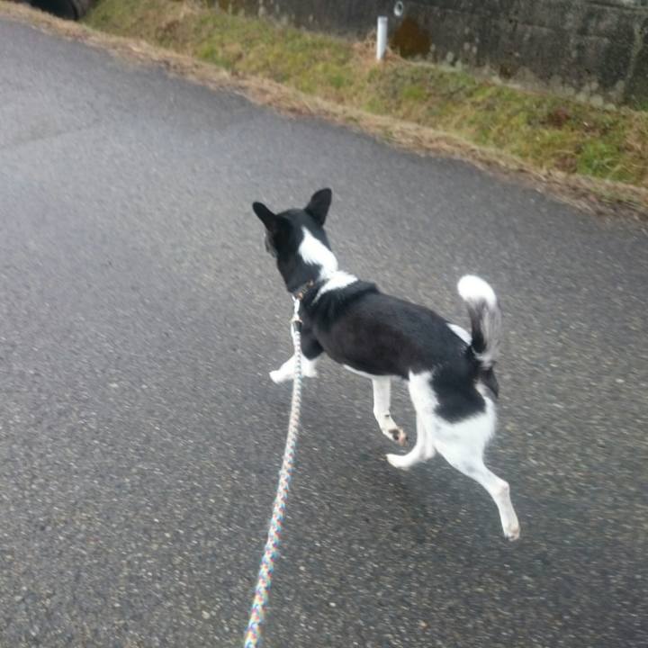 53ac1d3b 81dc 4cd0 aaa8 0caba7028a38