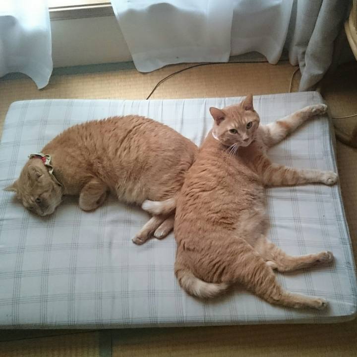 53acde7e eca7 4bd3 a402 c963ae0e4a93