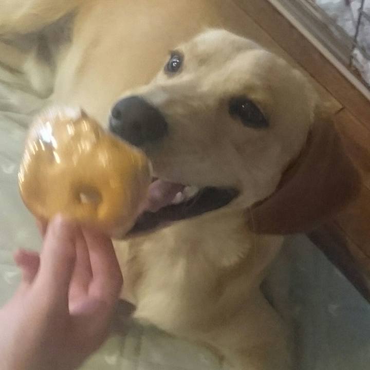 53ad37e6 610c 4dfb ba8f 2dc0242c0269