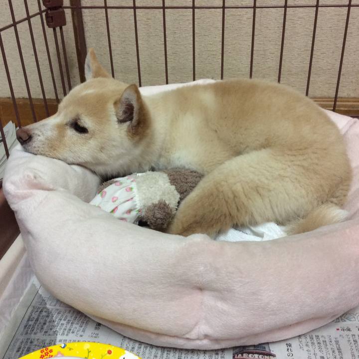 53ad9e40 6d36 4ac9 80ee 9ef78d5115f4